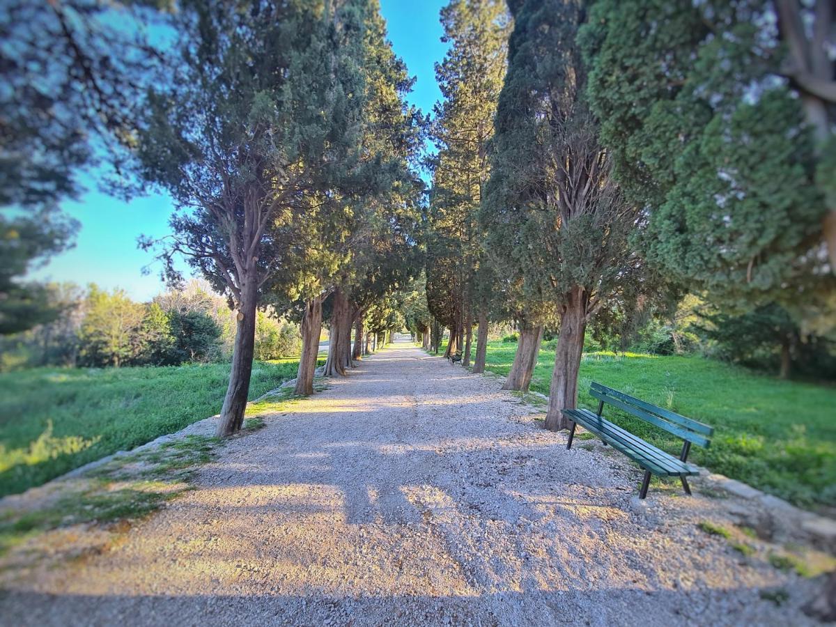 Luxury Apartment Salona Buitenkant foto